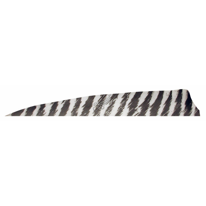 GATEWAY 4"   SHIELD RW BARRED PK100