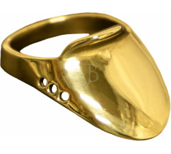 WILD M. BRASS SHOOTING RING