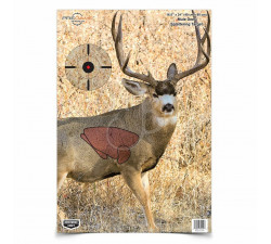 BIRCHWOOD VISUALE MULE DEER      40X60CM -3PZ