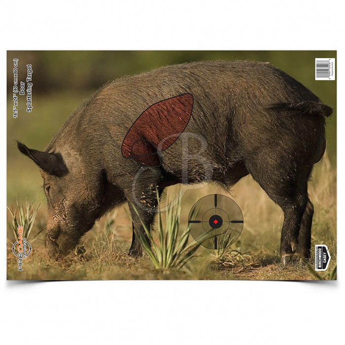 GSM OUTDOORS BIG GAME TARGETS BOAR GSM OUTDOORS BIG GAME TARGETS BOAR