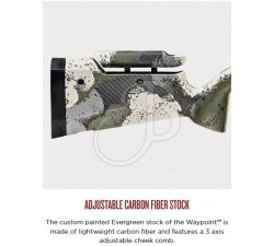 SPRINGFIELD 2020 WAYPOINT