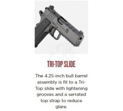 SPRINGFIELD EMISSARY 1911