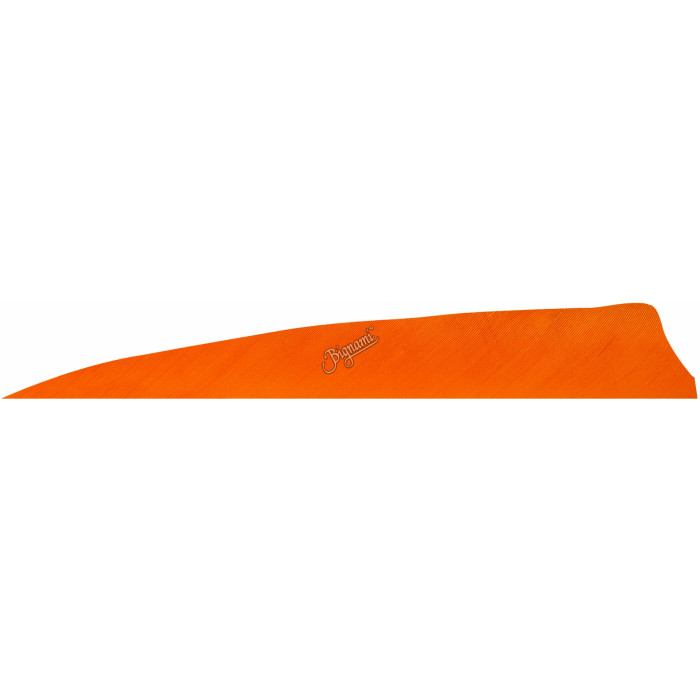 GATEWAY NATURFEDERN SH. 5" 100PZ GATEWAY NATURFEDERN SH. 5" 100PZ