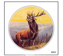 EDELMANN BERSAGLI ANIMALI 100PZ         14X14