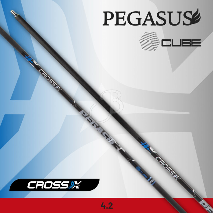 CROSS-X SHAFT PEGASUS CUBE CROSS-X SHAFT PEGASUS CUBE