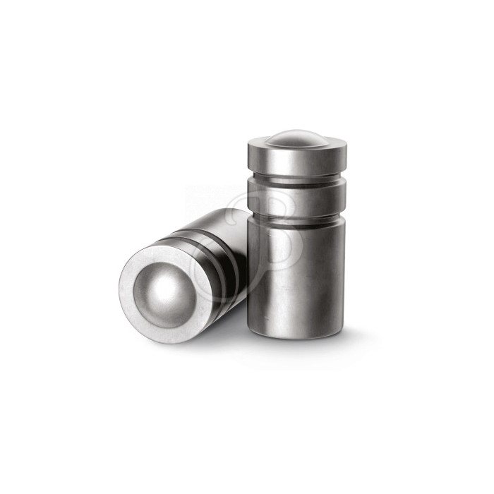 H&N .313 100GR WD GEFETTET X500