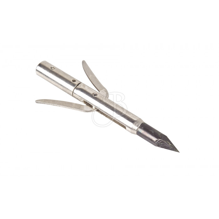 CAJUN FISCHERSPITZE STING-A-REE CAJUN FISCHERSPITZE STING-A-REE