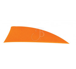GATEWAY RAYZE FEATH.2" 100PCS