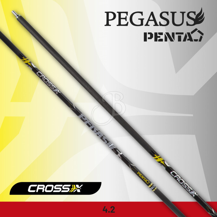 CROSS-X ASTA PEGASUS PENTA CROSS-X ASTA PEGASUS PENTA
