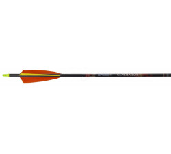 CROSS-X PFEIL GLADIATOR NATURAL