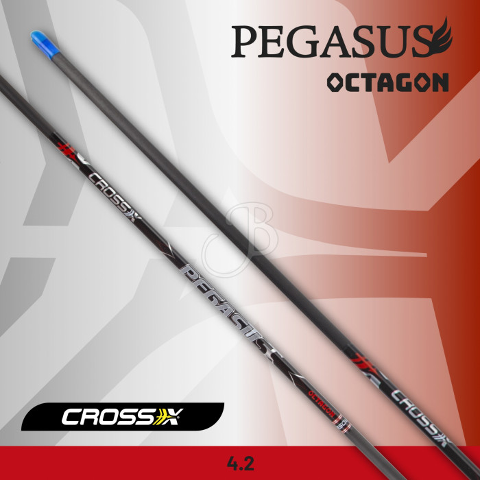 CROSS-X SHAFT PEGASUS OCTAGON CROSS-X SHAFT PEGASUS OCTAGON