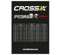 CROSS-X SHAFT PEGASUS OCTAGON