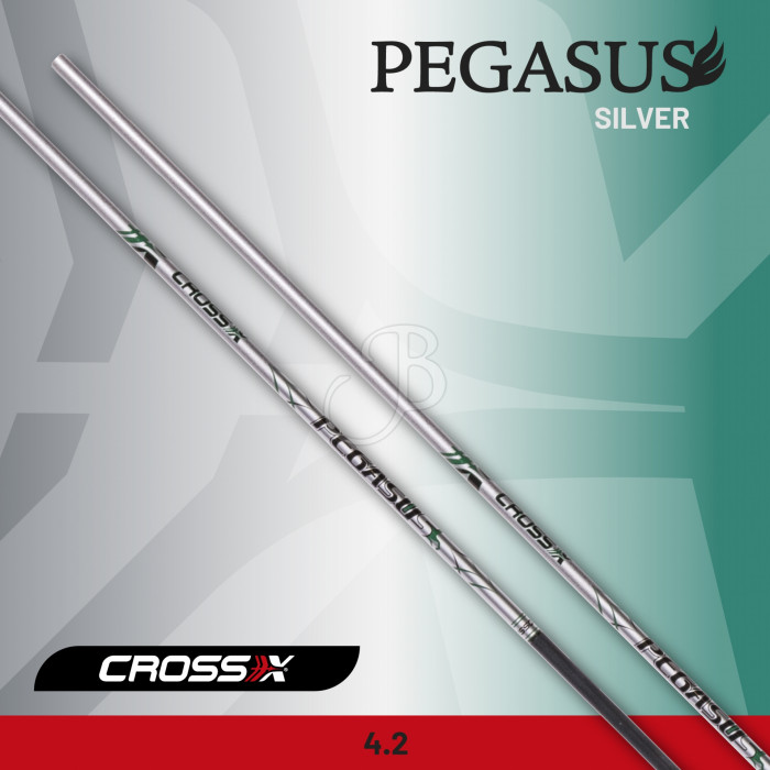 CROSS-X ASTA PEGASUS SILVER CROSS-X ASTA PEGASUS SILVER