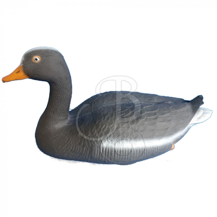 C. POINT 3D TARGET GREYGOOSE C. POINT 3D TARGET GREYGOOSE