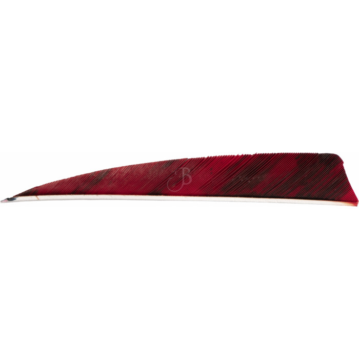 CROSS-X PLUMES NAT. 4" SH TREBARK CROSS-X PLUMES NAT. 4" SH TREBARK