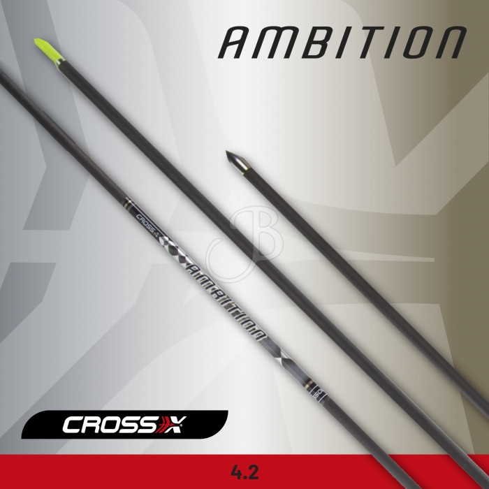 CROSS-X SCHAFT AMBITION+SPITZE LOSE